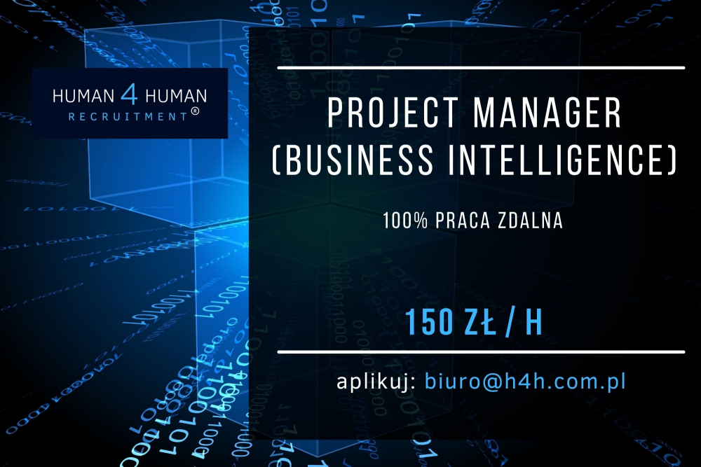 Project Manager (Business Intelligence).jpg
